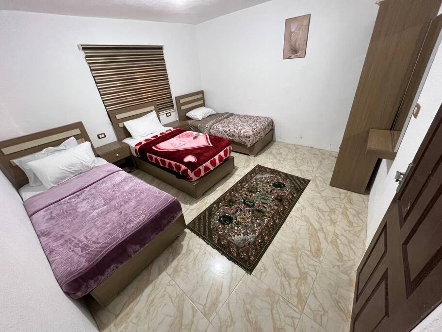Z3 Apartment Wadi Musa Exteriör bild