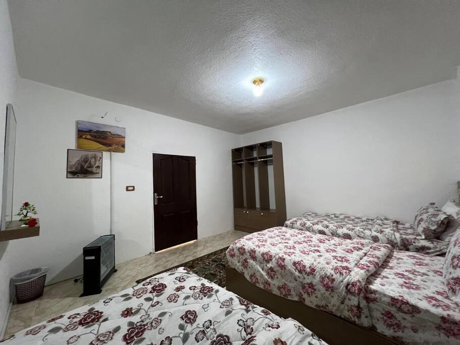 Z3 Apartment Wadi Musa Exteriör bild