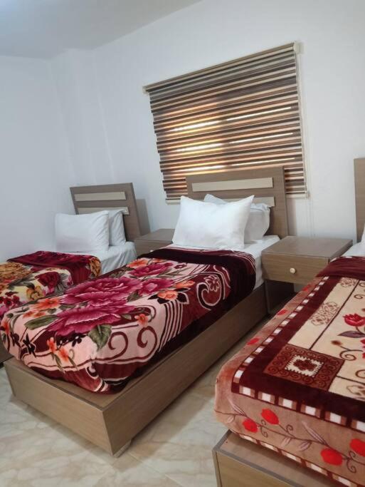 Z3 Apartment Wadi Musa Exteriör bild